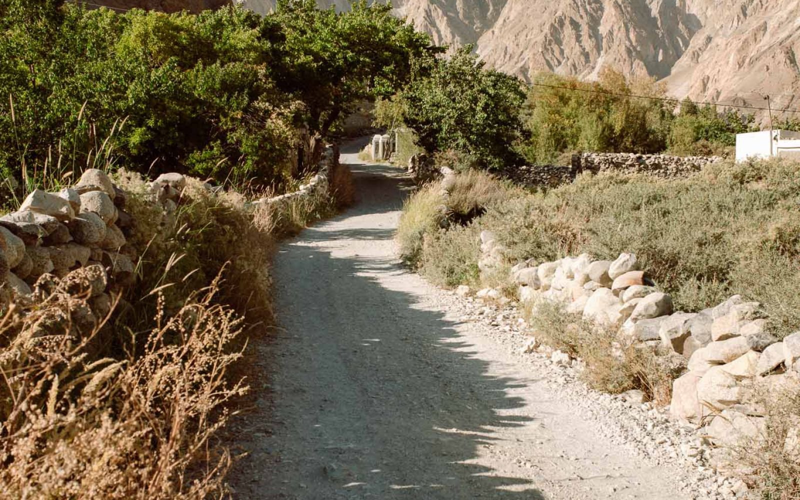 Ultar Meadows